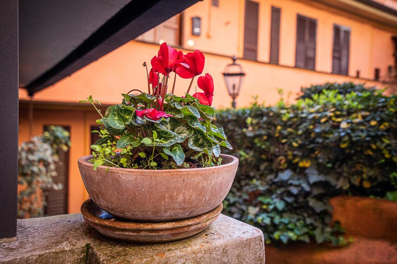Cosy Studio In The Greenest Corner Of Trastevere ローマ エクステリア 写真