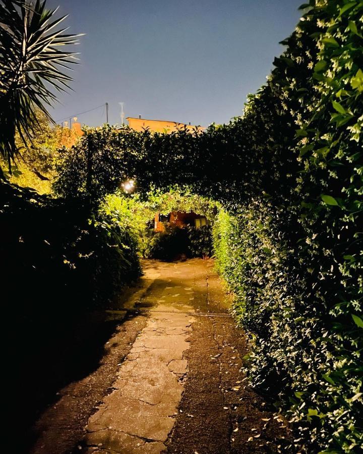 Cosy Studio In The Greenest Corner Of Trastevere ローマ エクステリア 写真